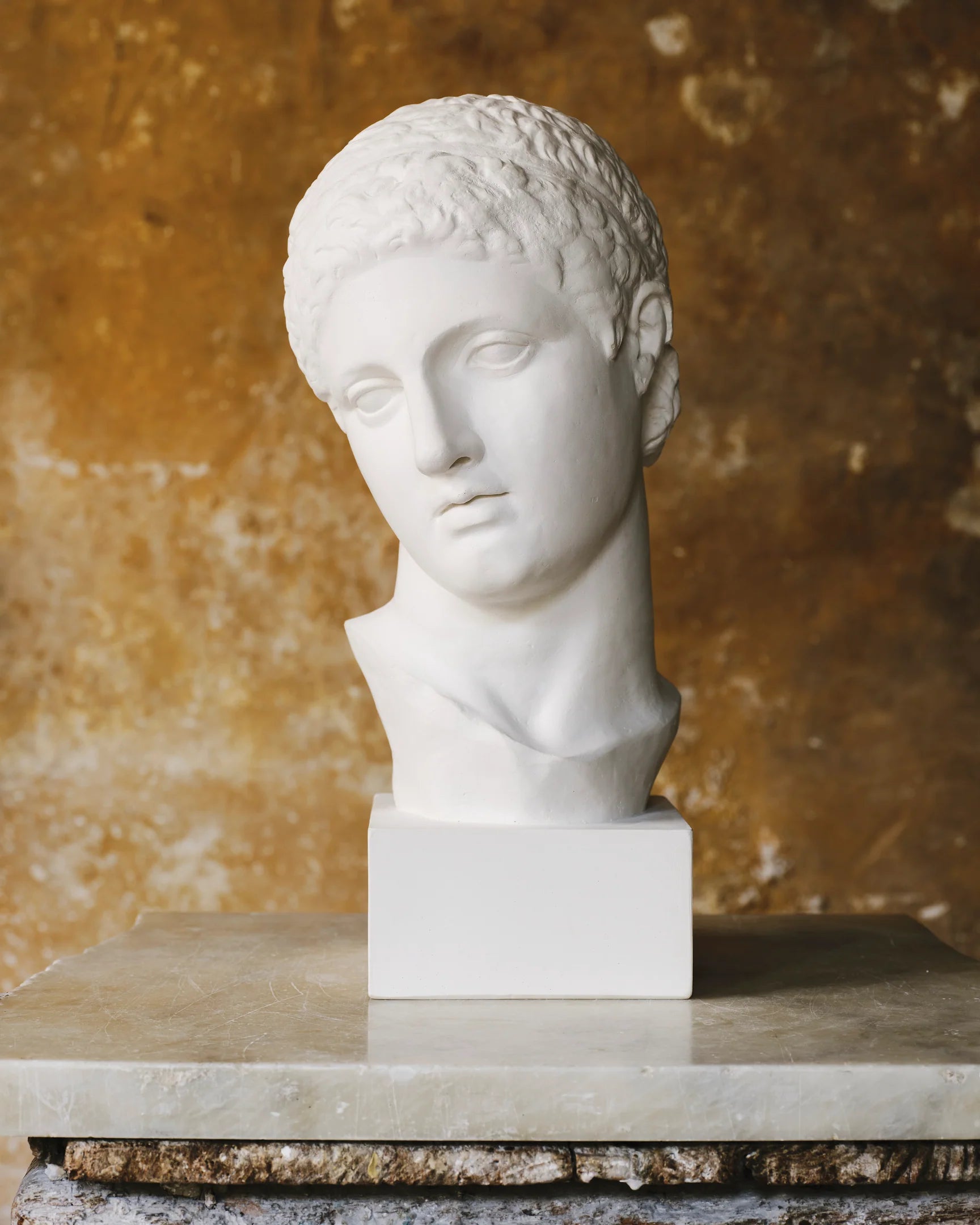 Fine Plaster Head Sculpture of Discobolus