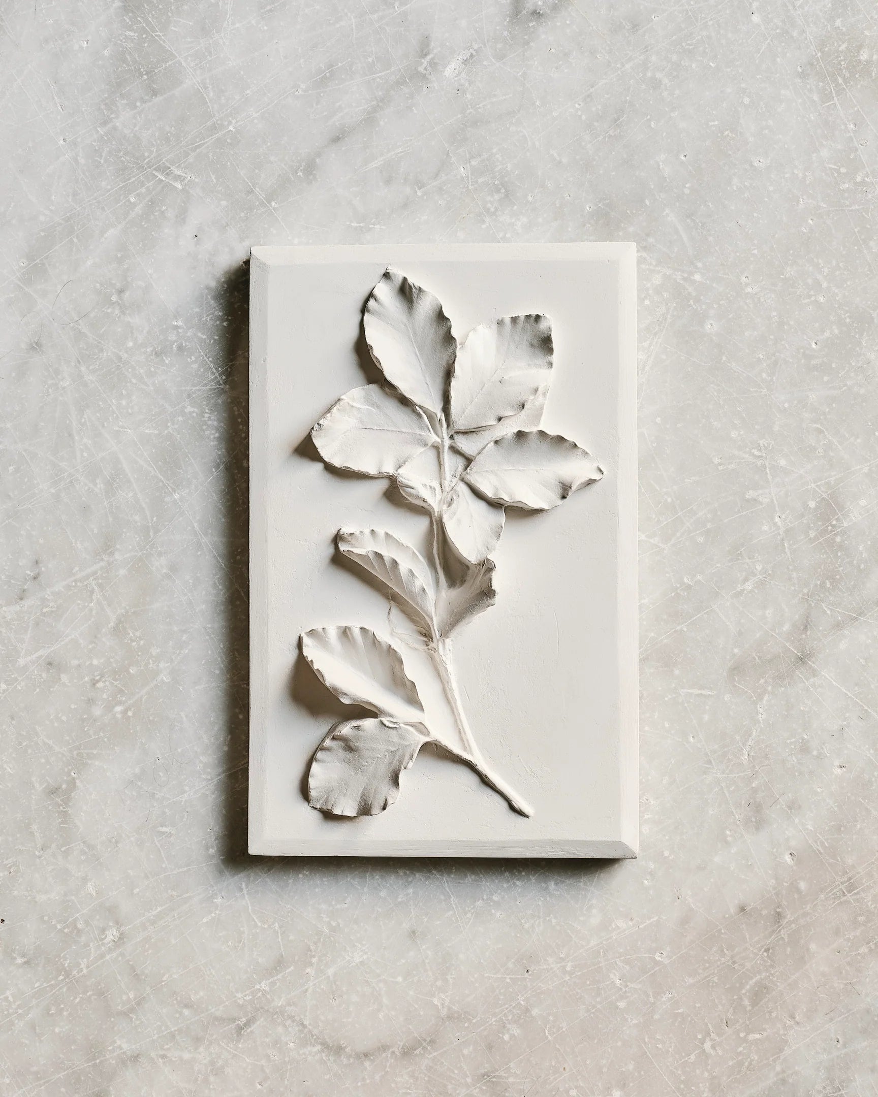 Botanical Sprig Fine Plaster Relief, Medium