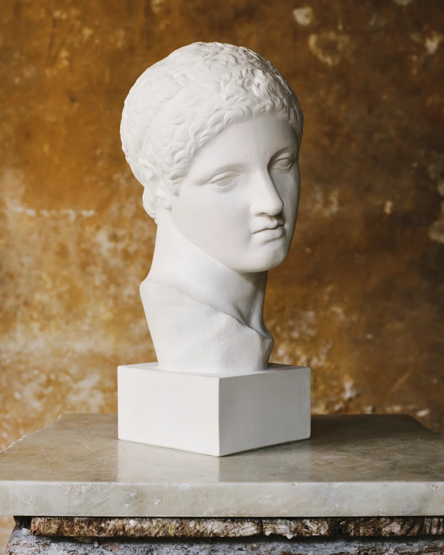 Fine Plaster Head Sculpture of Discobolus