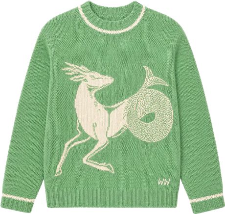 Capricorn Zodiac Sweater