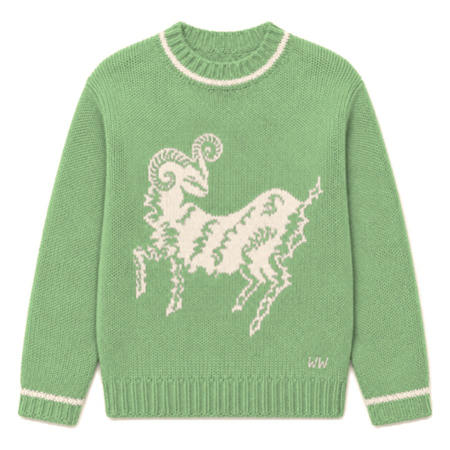 Aries Zodiac Sweater in Green